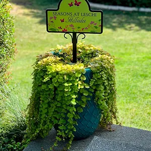 Apartment Seasons At Leschi Hillsides